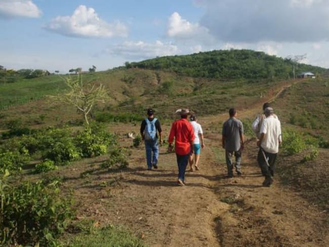 Restitución de tierras se activa en 50 veredas de Antioquia