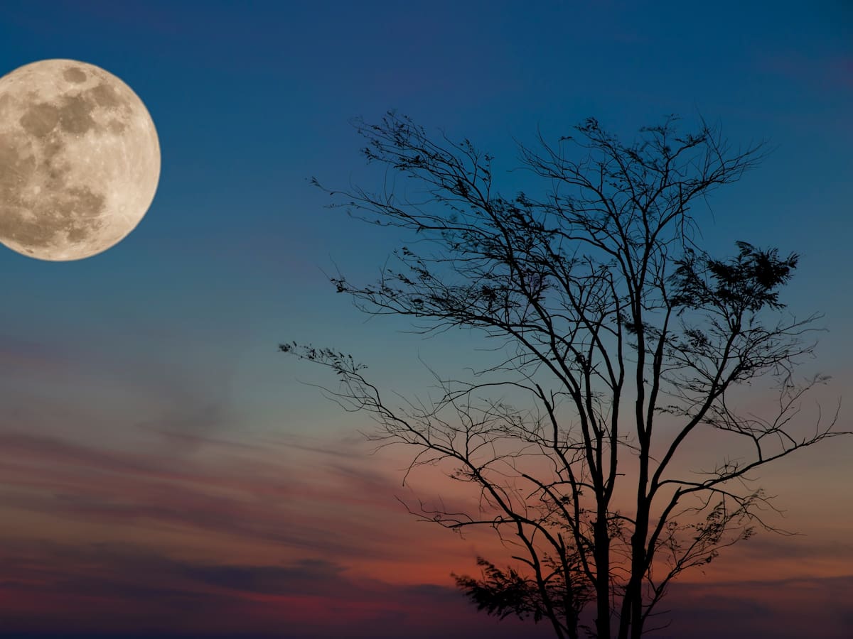 Luna Llena octubre 2023: ¿Cómo y cuándo ver la Luna del Cazador en Colombia?