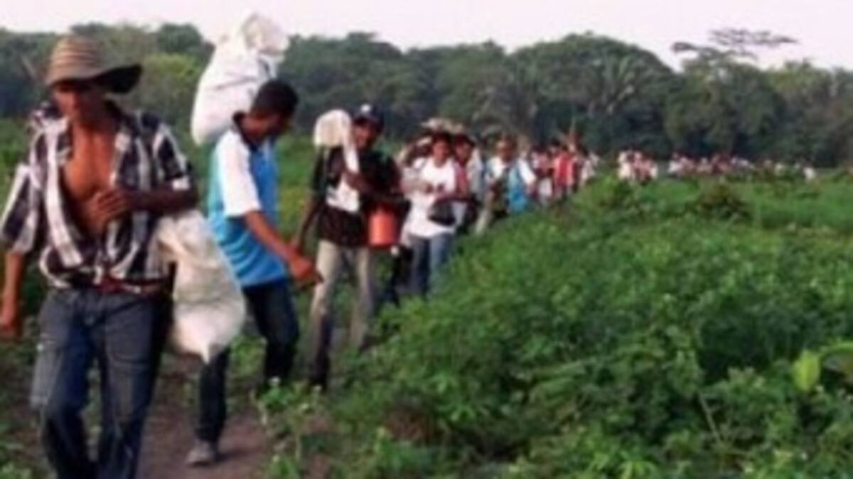 Victimas de tierras de Antioquia, Córdoba y Chocó celebran primer acuerdo en La Habana