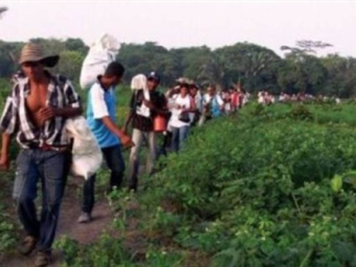 Victimas de tierras de Antioquia, Córdoba y Chocó celebran primer acuerdo en La Habana