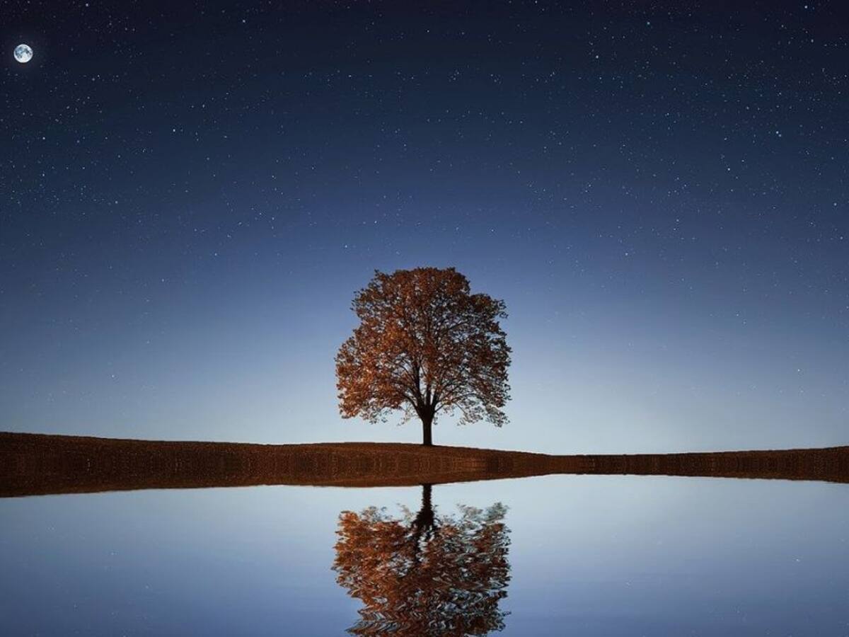 ¿Puede encontrarse calma durante la tormenta?