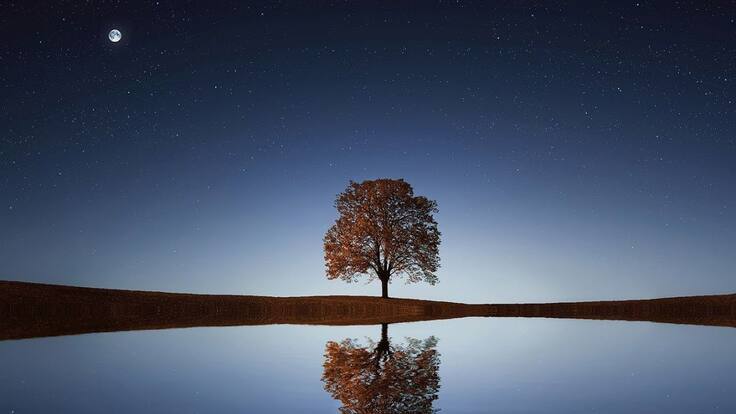 ¿Puede encontrarse calma durante la tormenta?