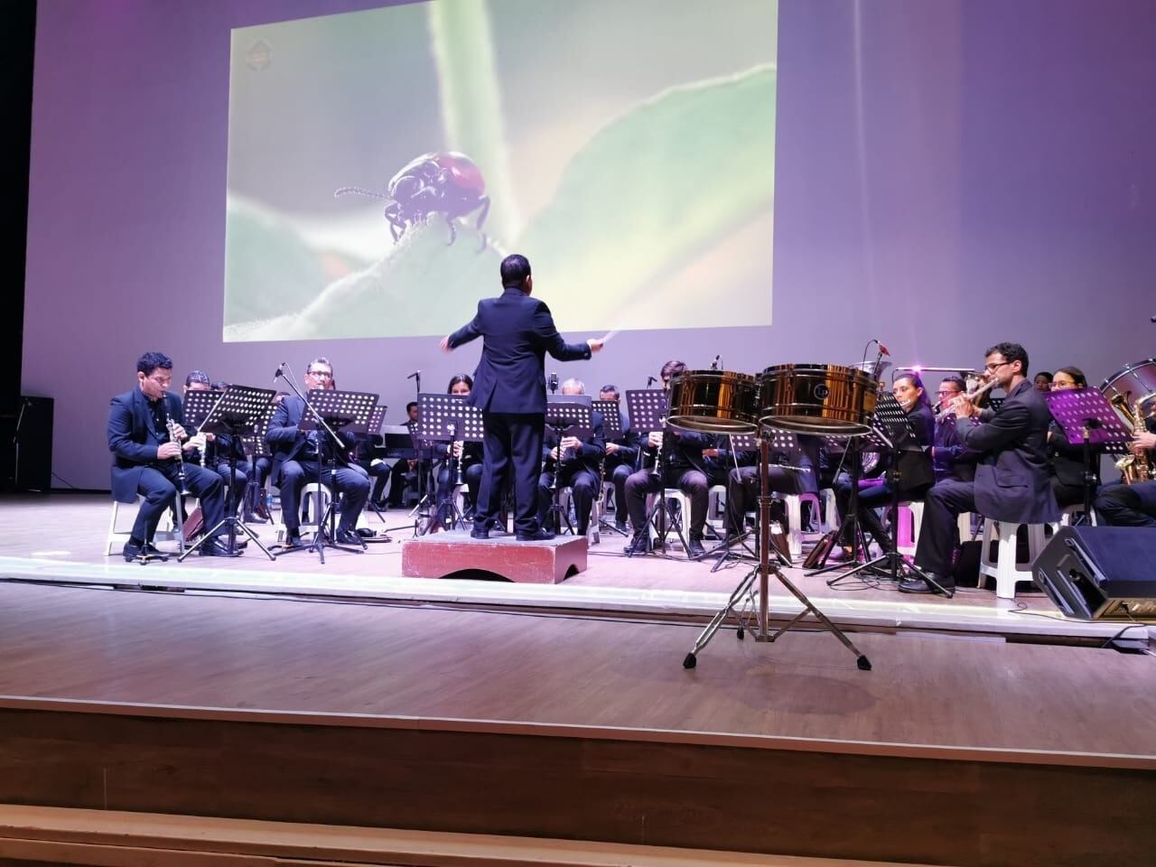 Desde la banda de guerra hasta la sinfonia ha evolucionado la banda Sinfónica del Huila.