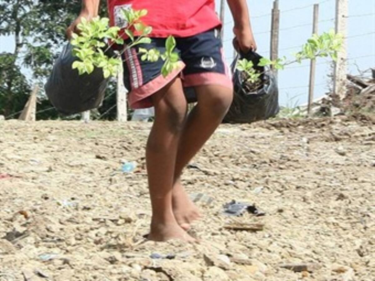 Muere niño tras pisar mina antipersonal en Juradó, Chocó