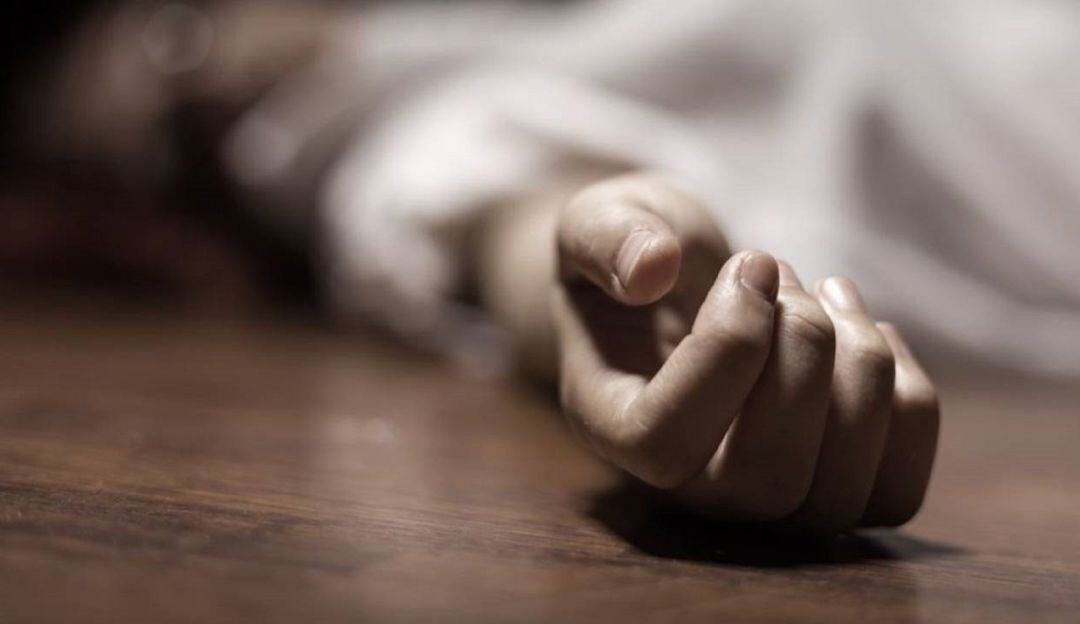 Imagen de referencia 