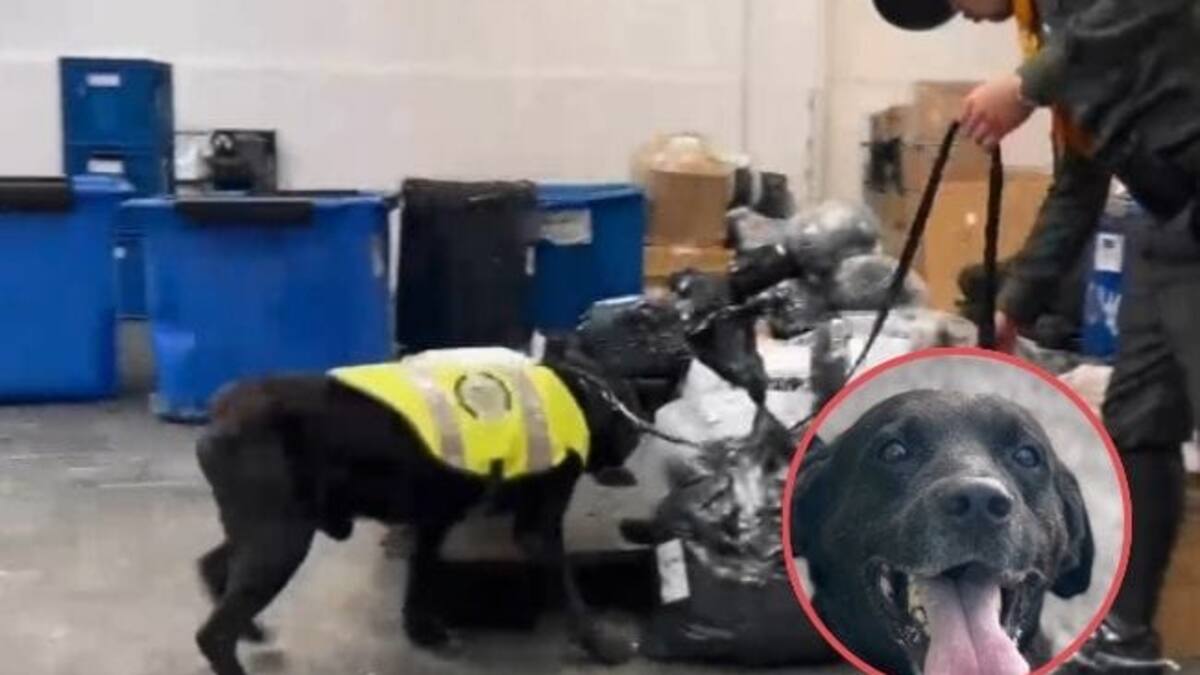 Coronel Luis Fernando Atuesta