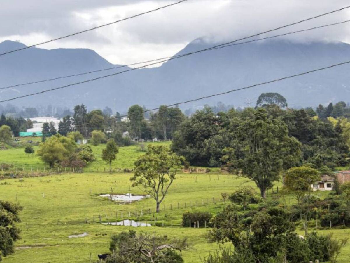 Tribunal Admin. de Cundinamarca ordenó un nuevo estudio a lagos de Troca