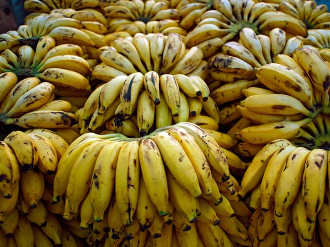 Imagen de referencia de bananos. Foto: Getty Images