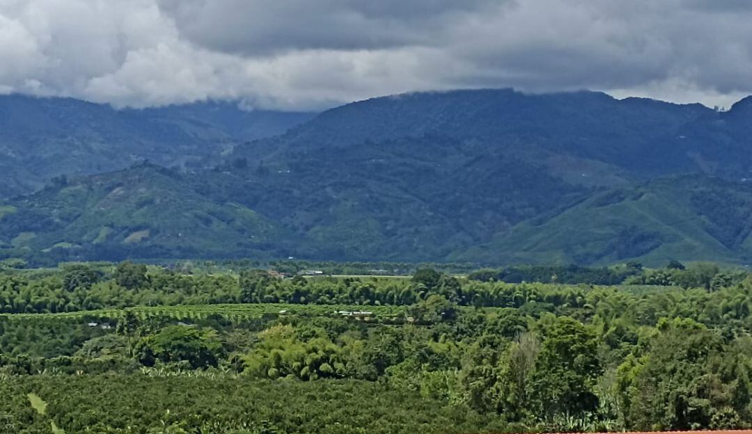 El departamento del Quindío cumple 56 años de creación, de vida administrativa