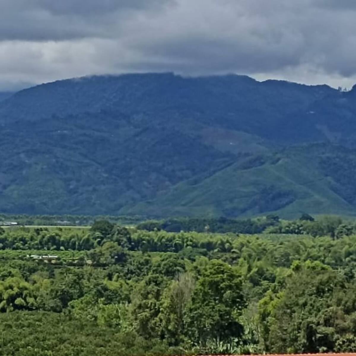 Viernes 1 de julio, las noticias más importantes de Armenia y Quindío