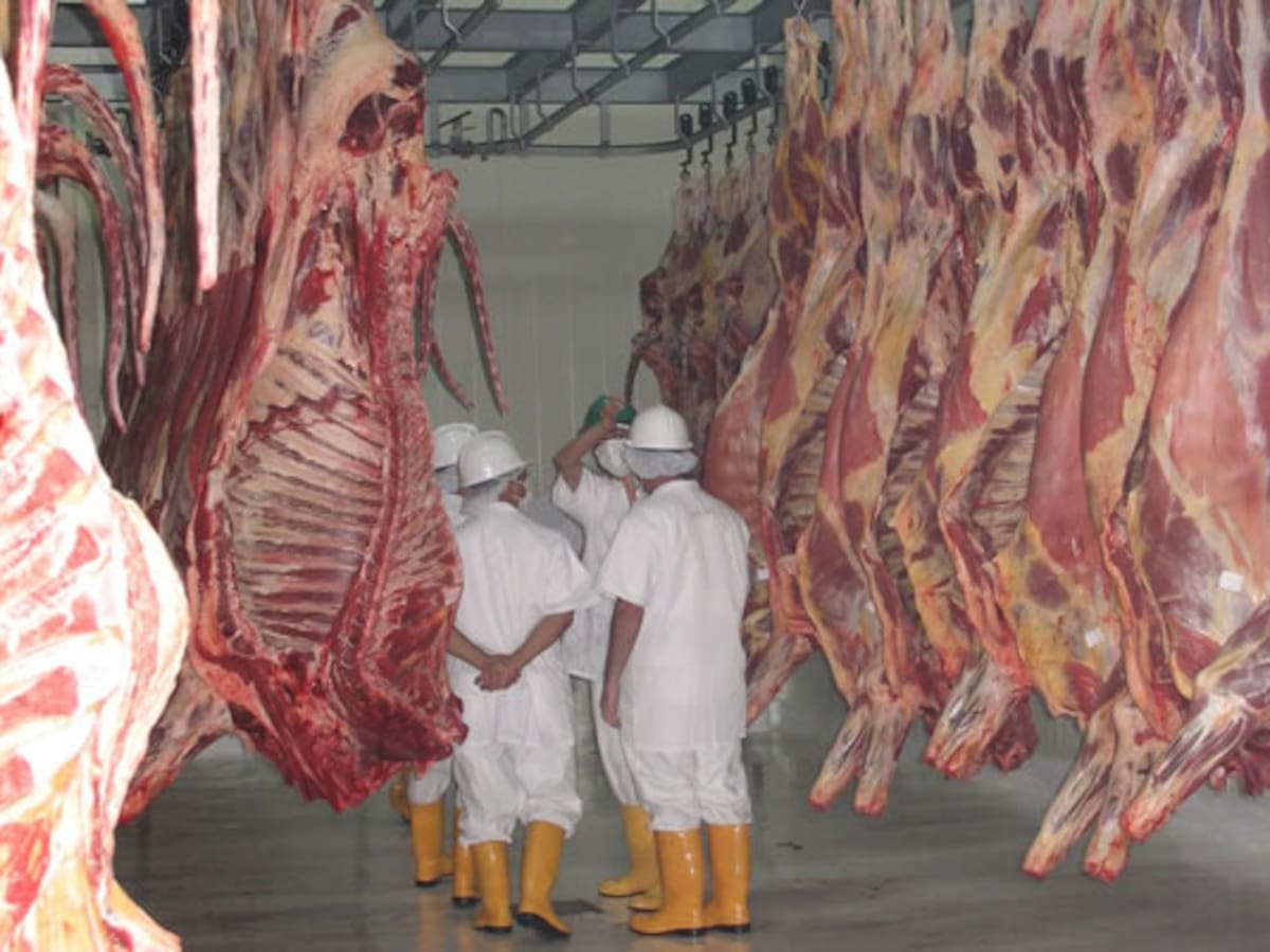 Socha advierte impacto financiero por decisión de la gobernación sobre recaudo del degüello