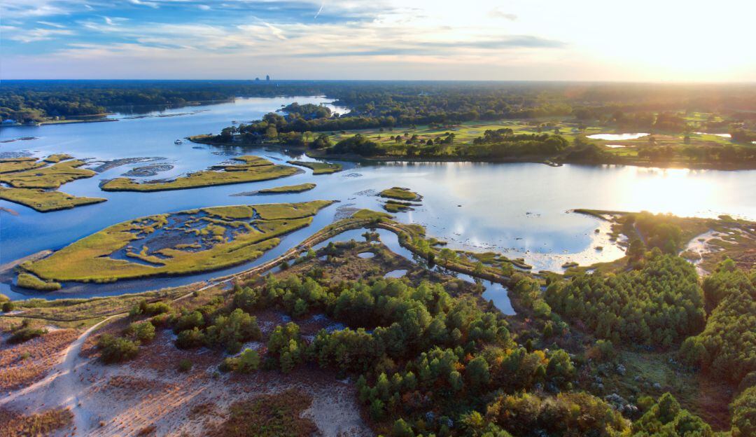Día Mundial de los Humedales, ¿por qué es importante cuidarlos?