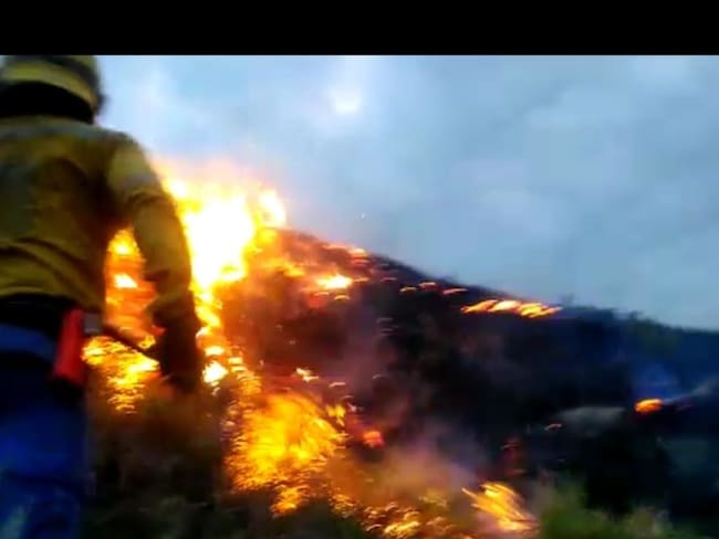 35 hectáreas de ha consumido incendio forestal en zona rural de Cali