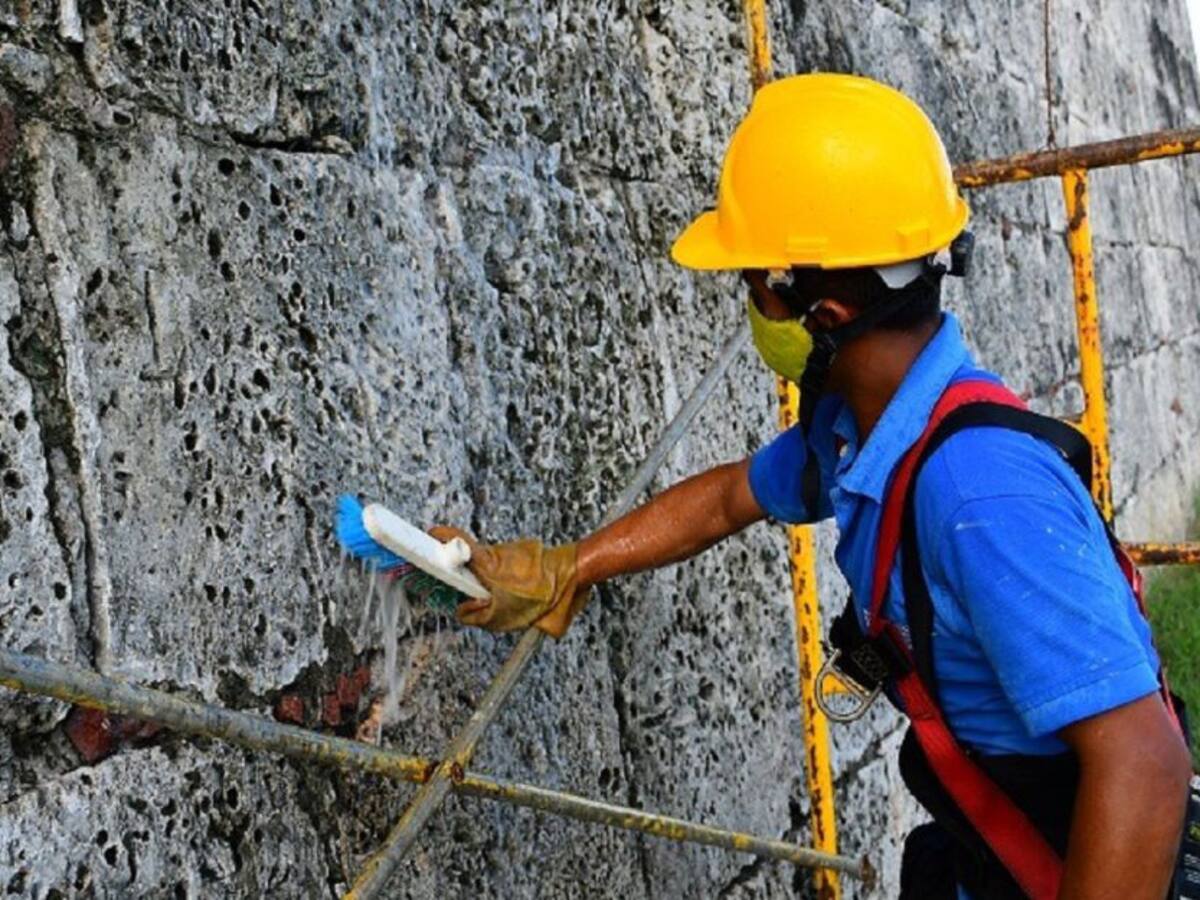 Realizan labores de limpieza en las murallas de Cartagena