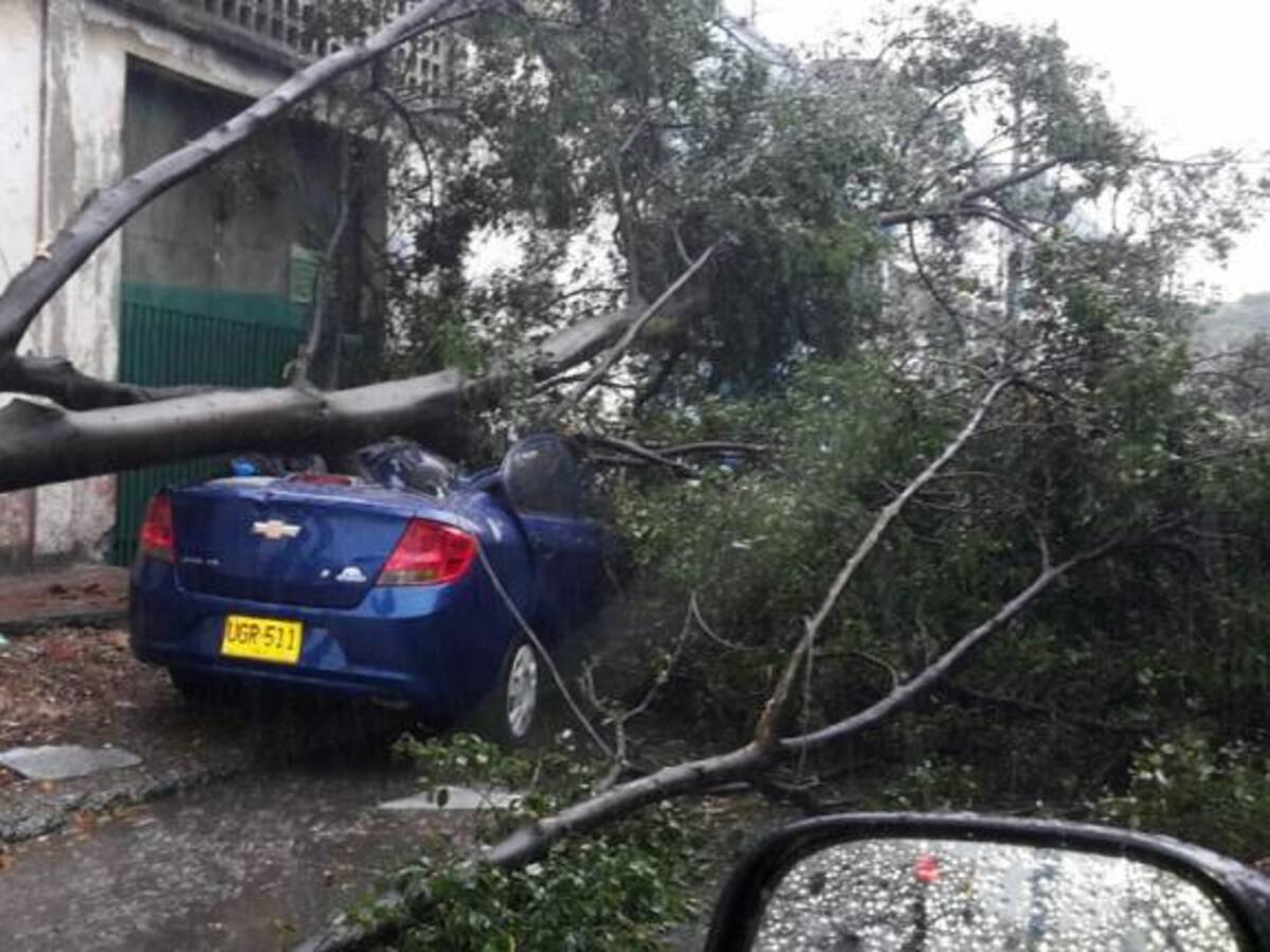 Emergencia en Cali por aguacero con fuertes vientos