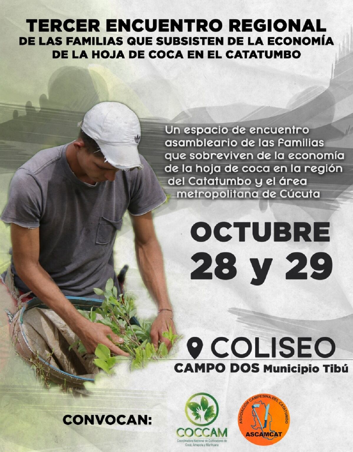 Asamblea cocaleros Catatumbo