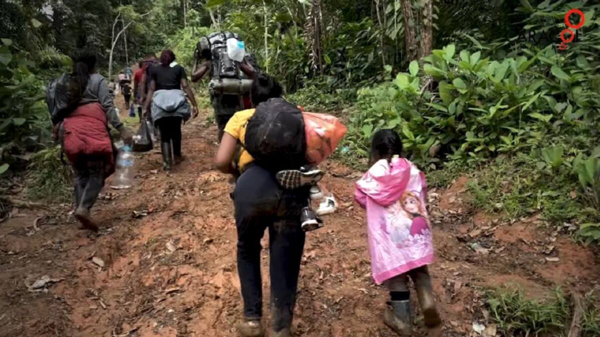 ¿Qué alerta está haciendo la Procuraduría frente a refugiados en zonas fronterizas?