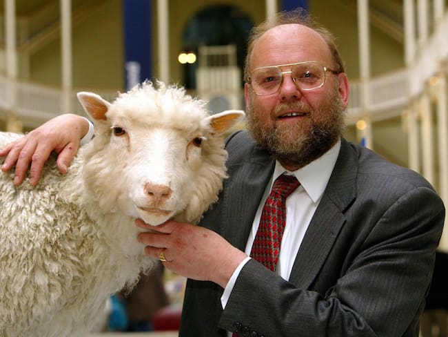 Muere a los 79 años Ian Wilmut, “padre” de la oveja Dolly. Foto:  Maurice McDonald - PA Images/PA Images via Getty Image