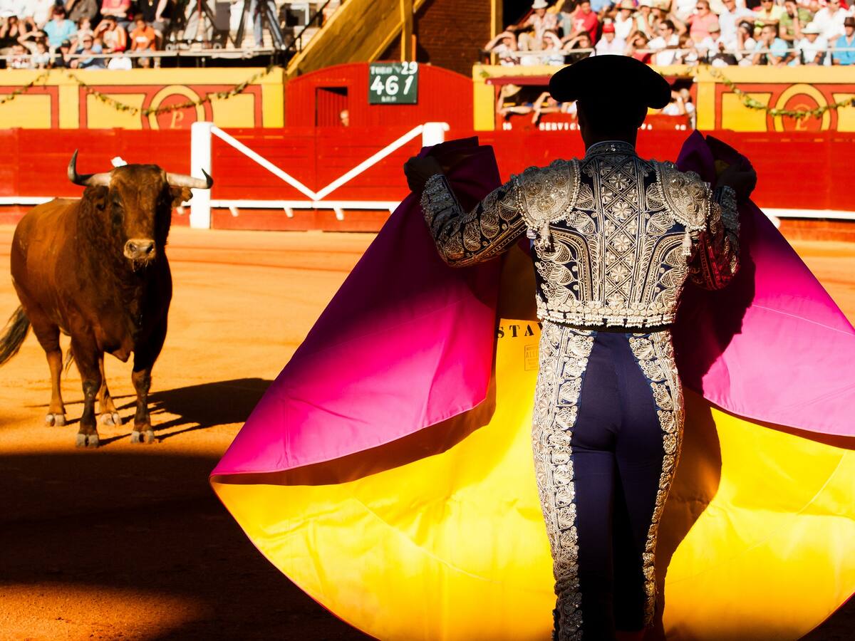Corridas de toros en Cali, ¿qué pasará tras el anuncio de la Alcaldía?