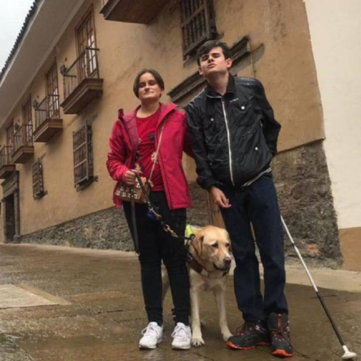 La Universidad Icesi gana demanda en pro de los perros de asistencia