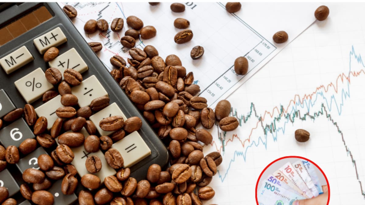 ¿Subió? Precio café HOY, 22 de agosto: valor carga según Federación Nacional de Cafeteros