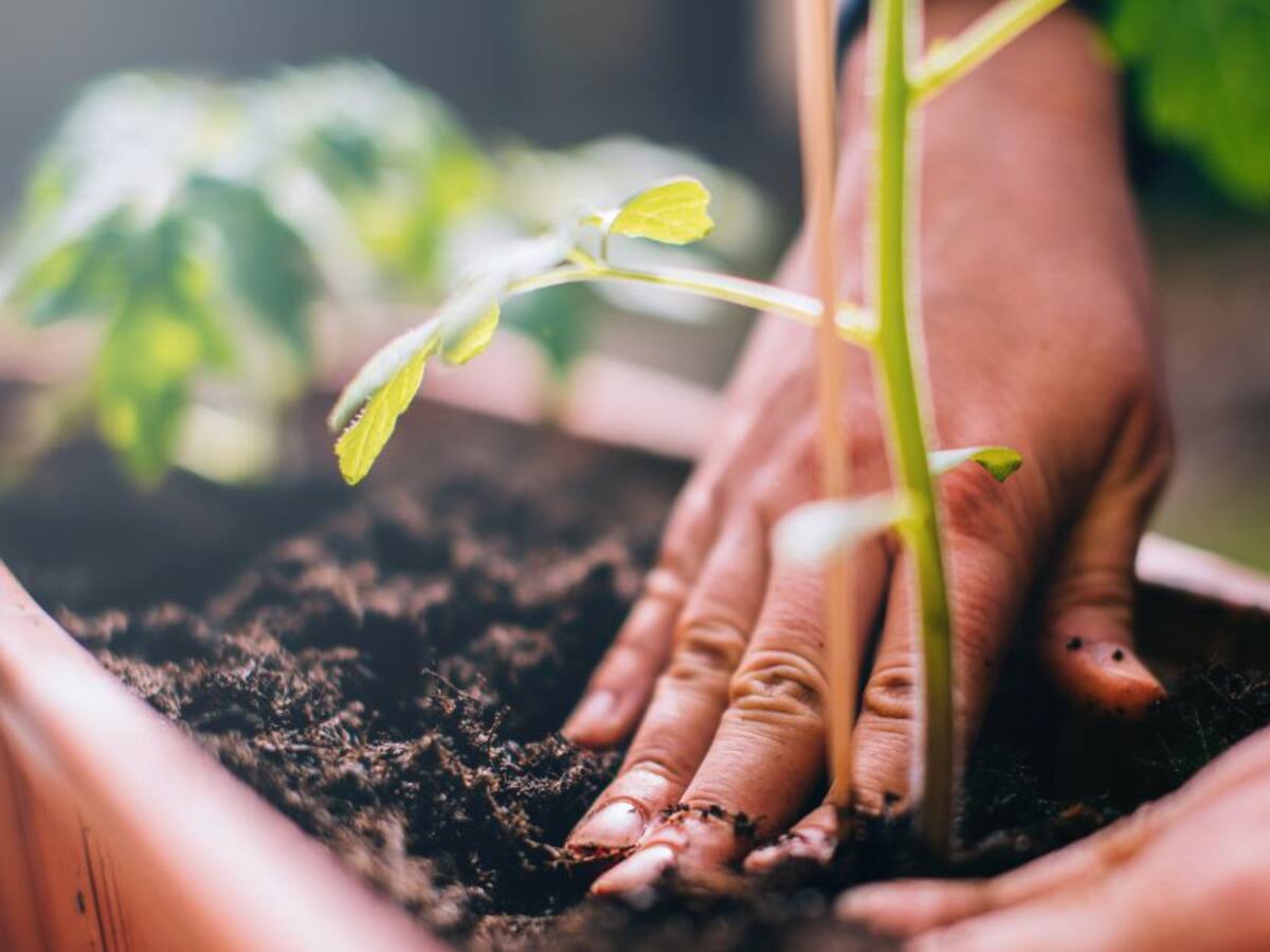 Avanza proyecto de ley que crea y fortalece delitos ambientales