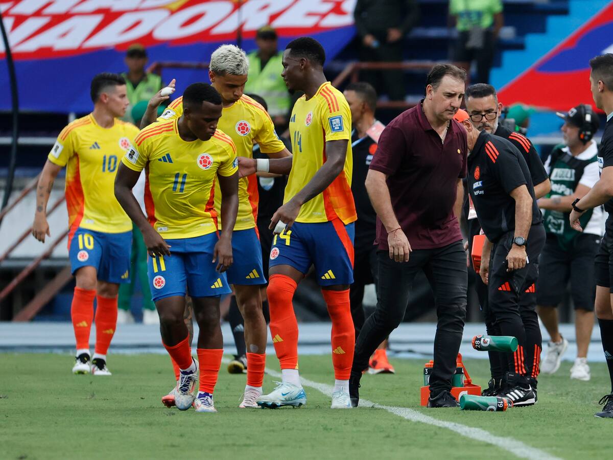 Selección Colombia: las grandes ausencias para los partidos ante Bolivia y Chile