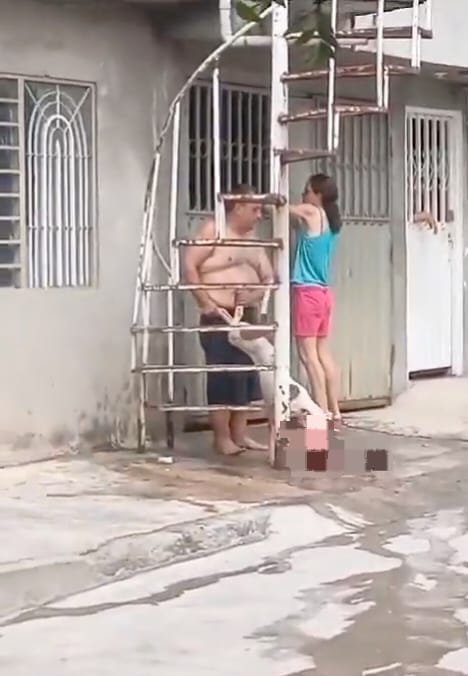 Caso de agresión de perro pitbull en Cúcuta / Foto: Redes sociales