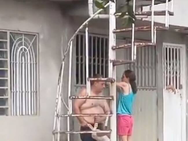 Caso de agresión de perro pitbull en Cúcuta / Foto: Redes sociales