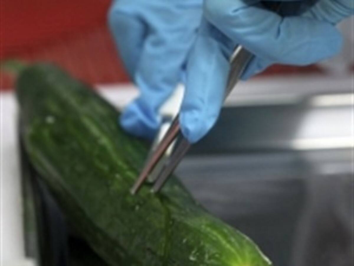 Crisis de pepinos: España evalúa pedir indemnización a Alemania
