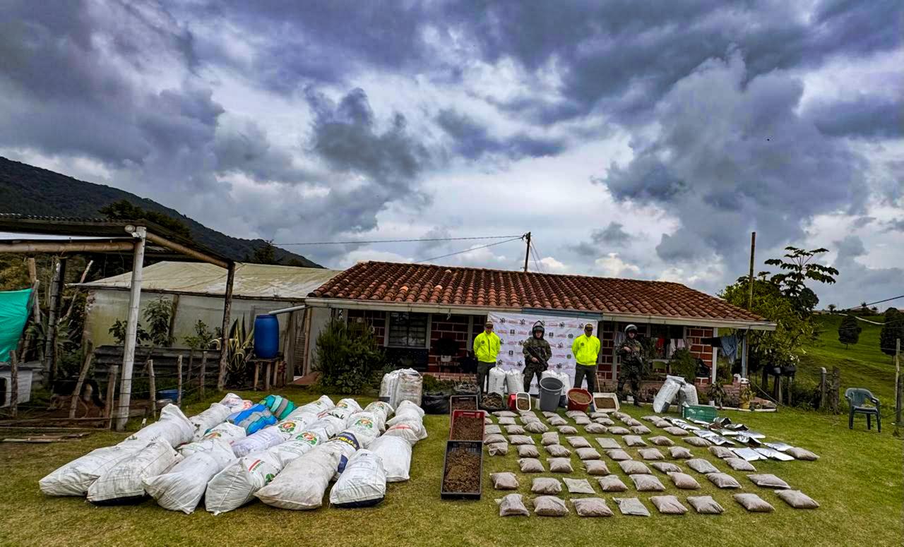 Marihuana incautada al Clan del Golfo- foto Cuarta Brigada