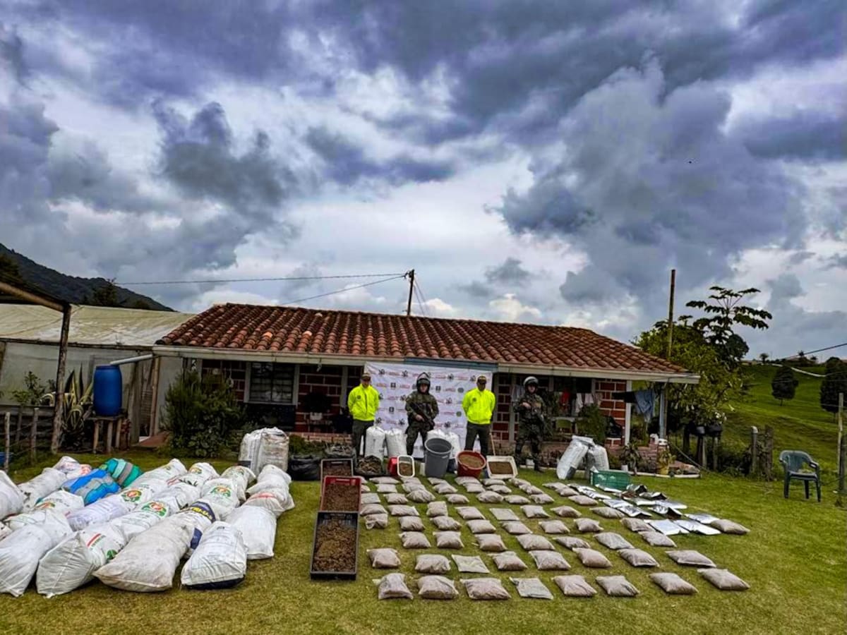 Le cogieron 300 millones en marihuana al Clan del Golfo en San Pedro de los Milagros
