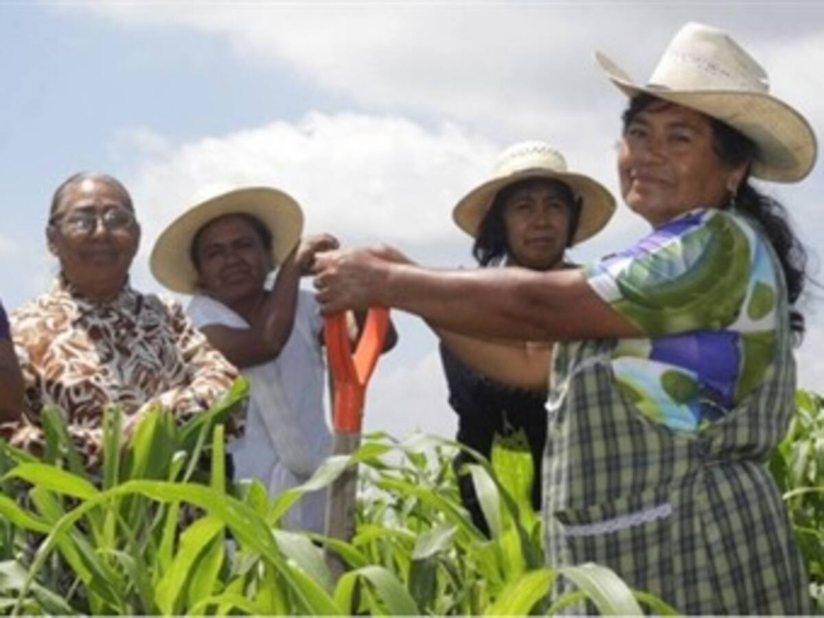 30% de las mujeres campesinas no tienen salario