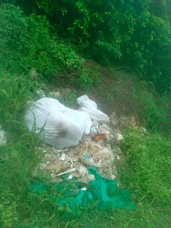 Colprensa- Cortesía