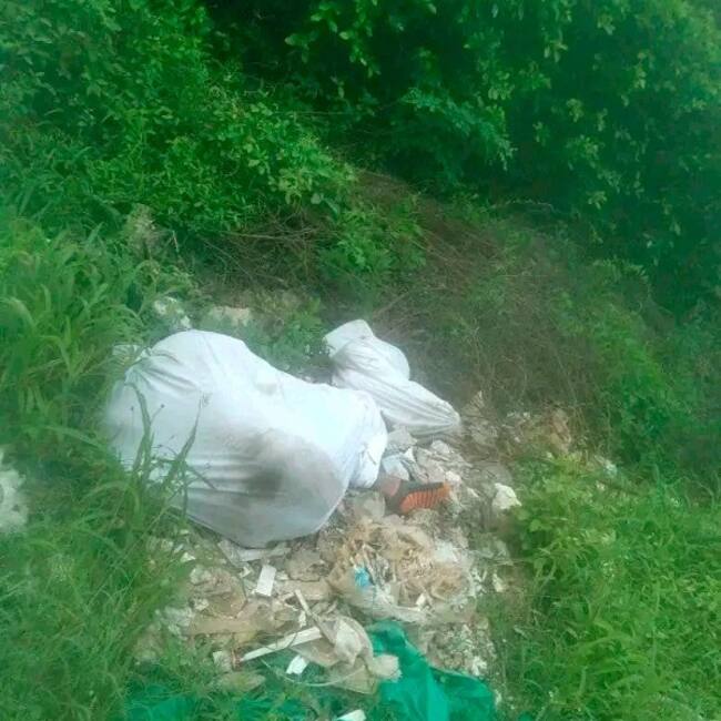 Colprensa- Cortesía