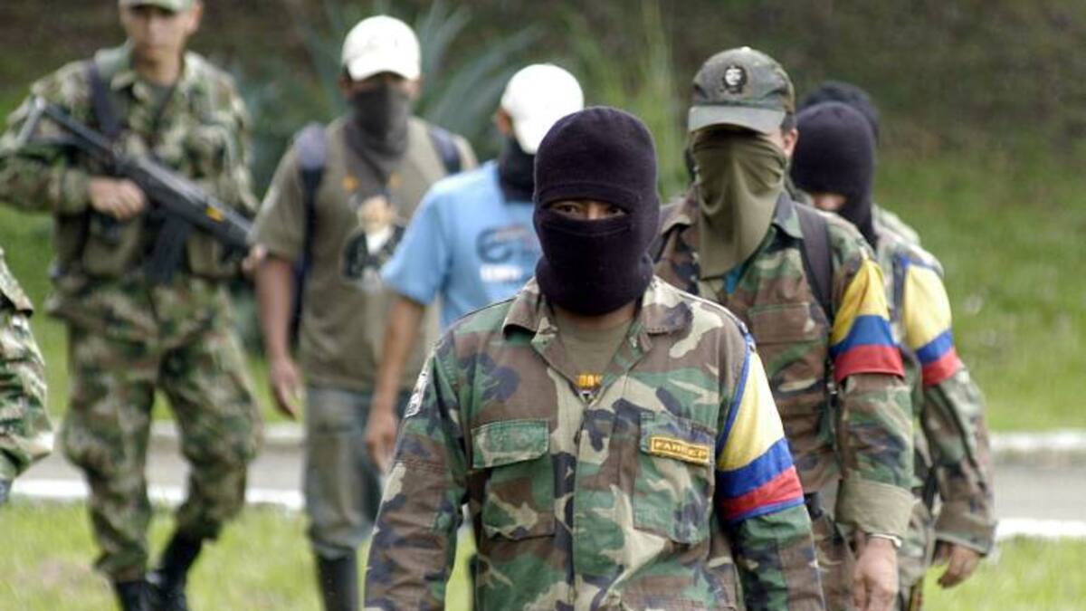 Hasta 3 mil guerrilleros de las Farc serían afiliados automáticamente al Sisben