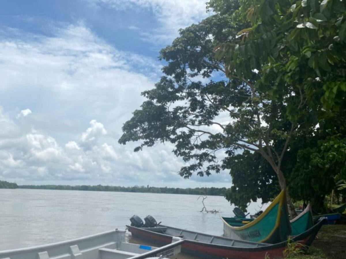 Tribunal exime a Cormagdalena de pagar más de $177.000 millones a Madelena