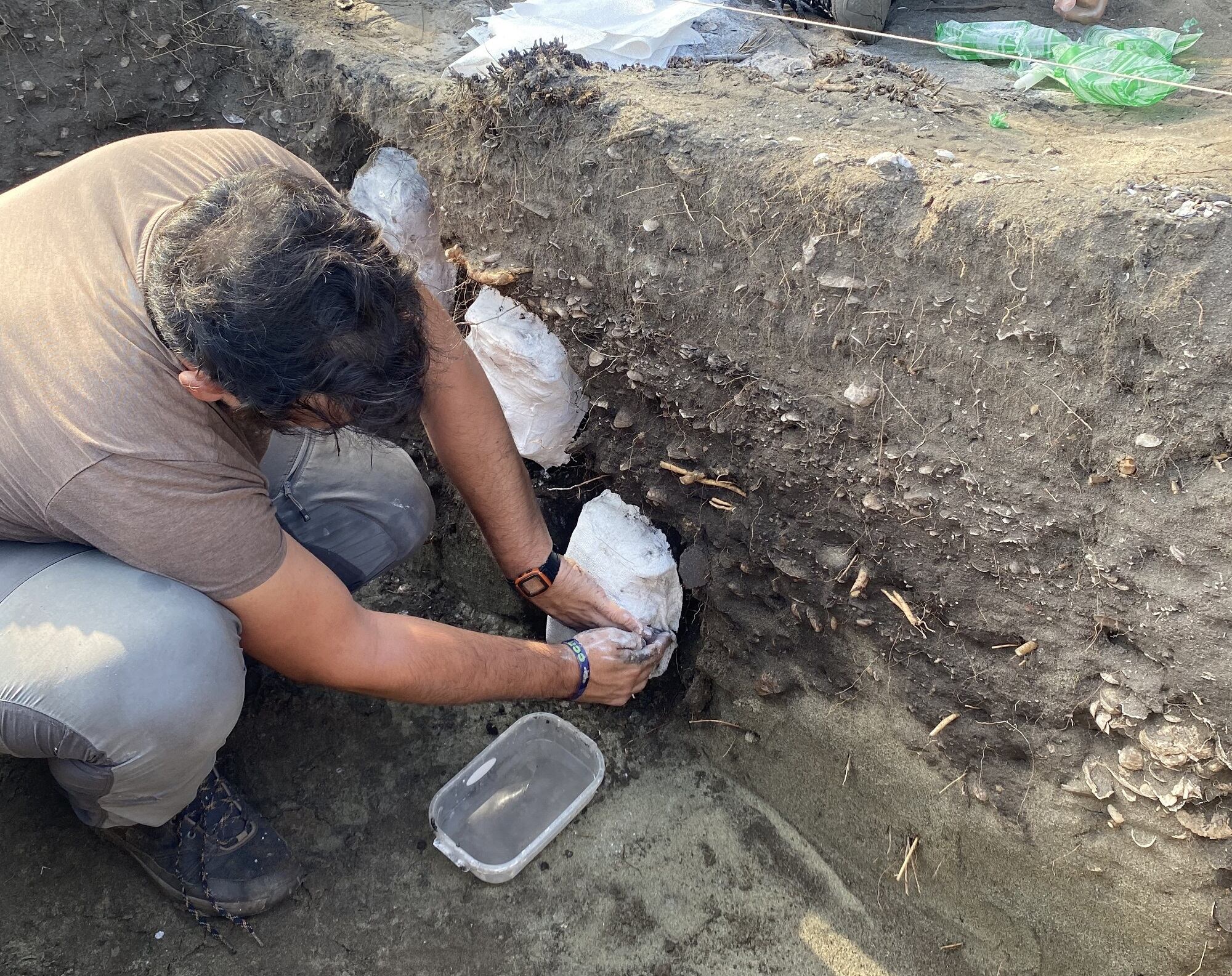 Investigadores de la Universidad del Magdalena