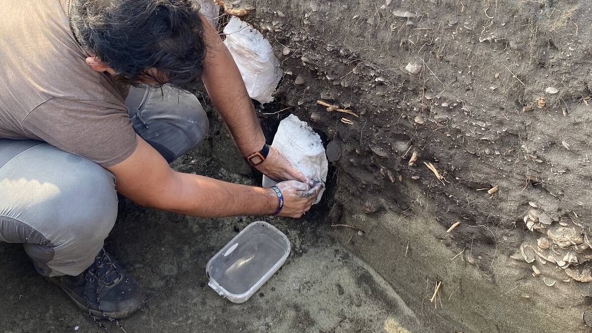 Hallan evidencias de los primeros pescadores de la Ciénaga Grande