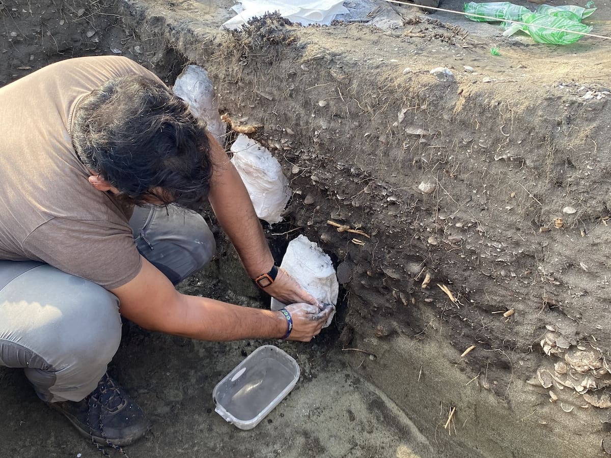 Hallan evidencias de los primeros pescadores de la Ciénaga Grande