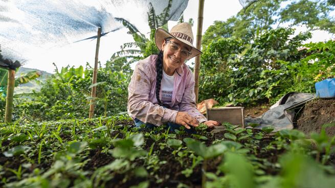 Juan Carlos Toro Castellano, secretario de Desarrollo Agropecuario