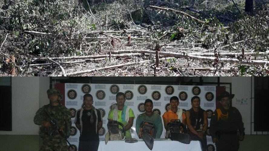 Plan de choque genera resultados en control a deforestación e incendios en Guaviare. Foto: