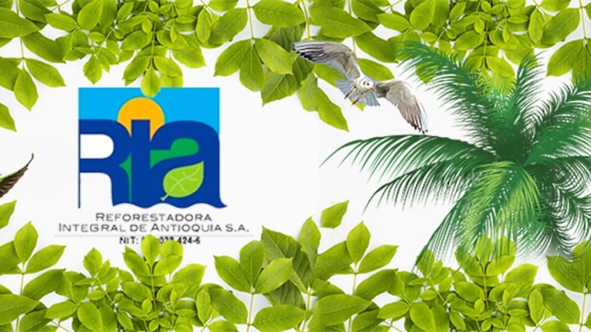 Reforestadora Integral de Antioquia afirma no tener que ver en la muerte de Diego Arrieta