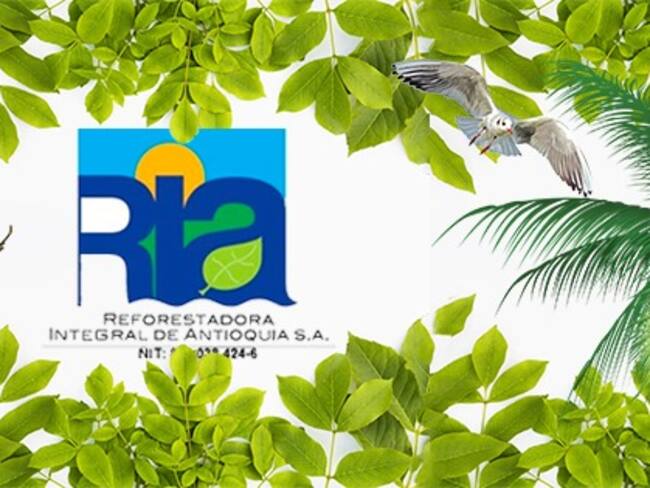 Reforestadora Integral de Antioquia afirma no tener que ver en la muerte de Diego Arrieta