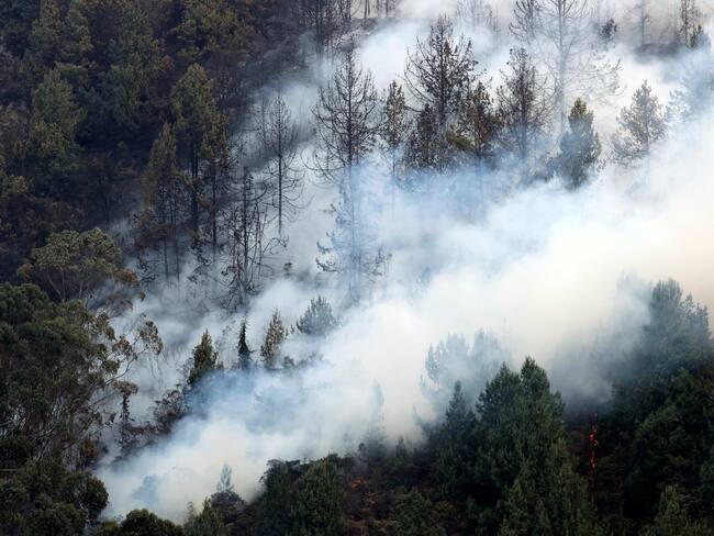 Incendio forestal hoy, en el cerro El Cable, en Bogotá (Colombia). En la ladera del cerro El Cable.EFE/ Mauricio Dueñas Castañeda