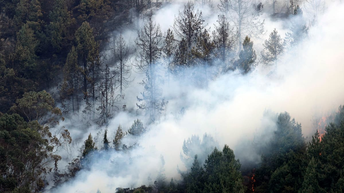 Gobierno oficializa situación de desastre nacional por incendios