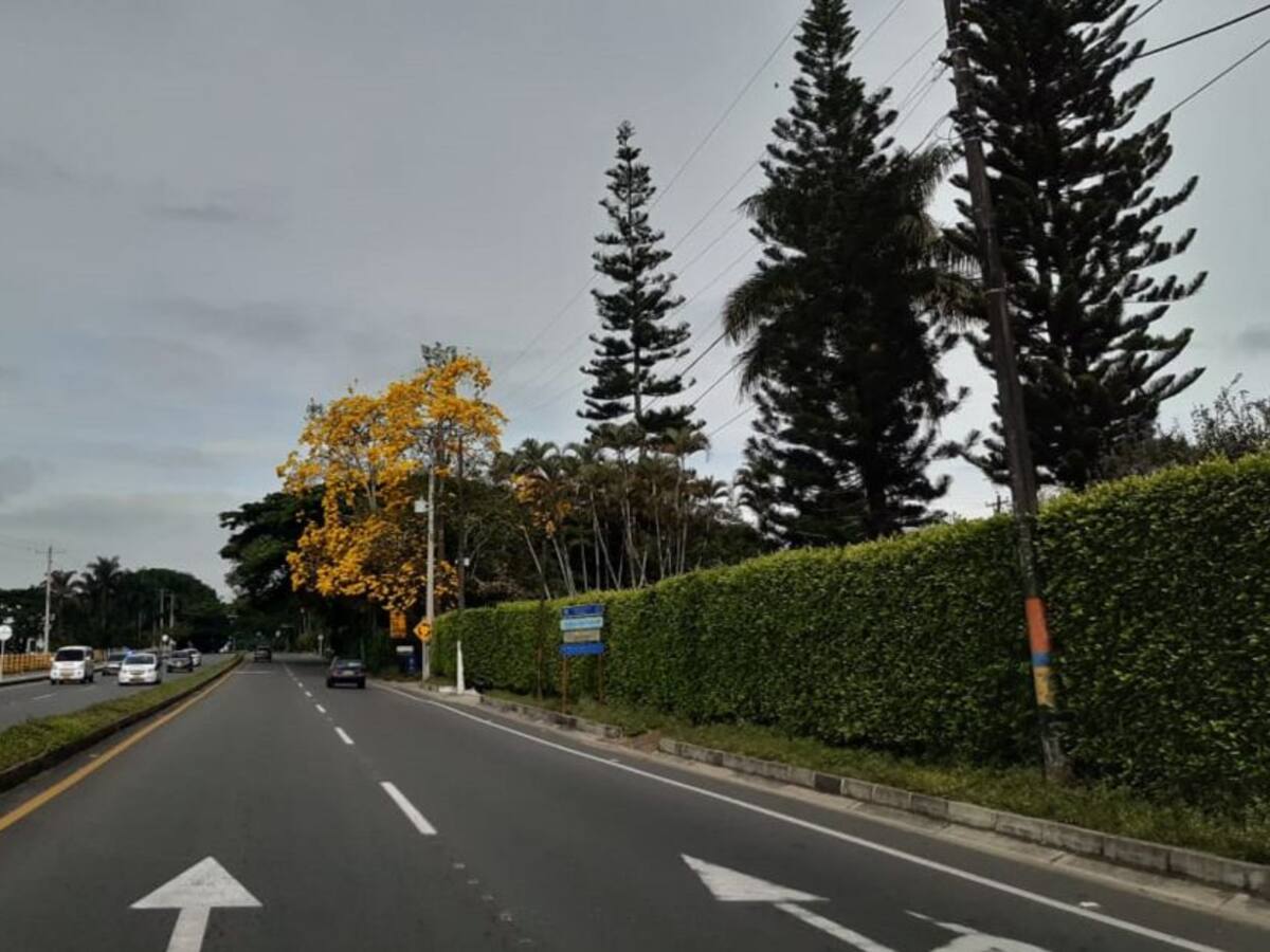 Jueves 1 de julio, las noticias más importantes de Armenia y Quindío