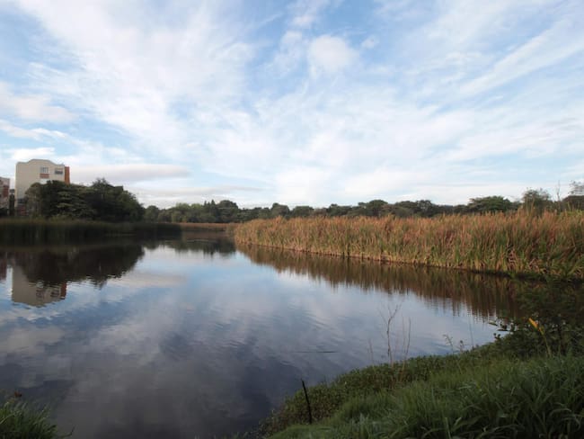 Bogotá conmemora el Día Mundial del Agua con jornadas ambientales en varias localidades