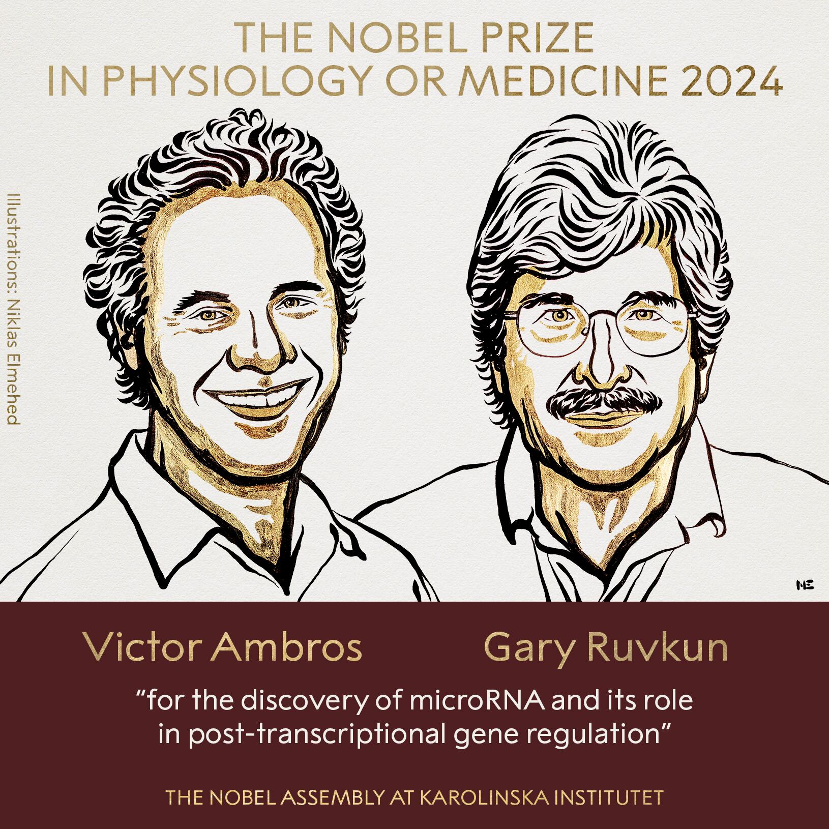Victor Ambros y Gary Ruvkun descubrieron un nuevo tipo de molécula ARN clave para la regulación de la actividad de los genes.
(Foto: Organización Premio Nobel - Cortesía )