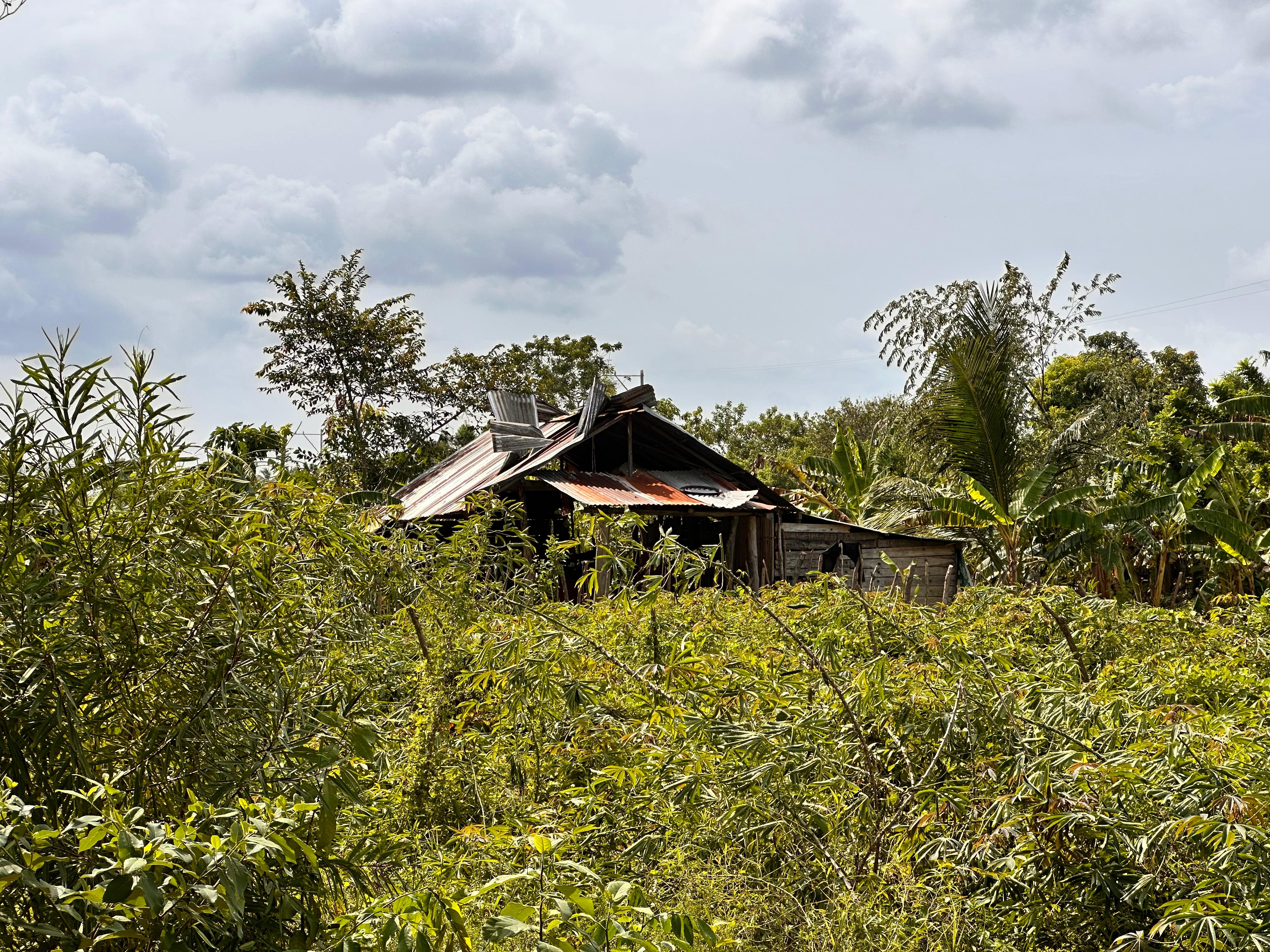Vendaval en Cotorra, Córdoba. Foto: Alcaldía de Cotorra.
